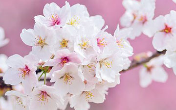 セッションイメージ２